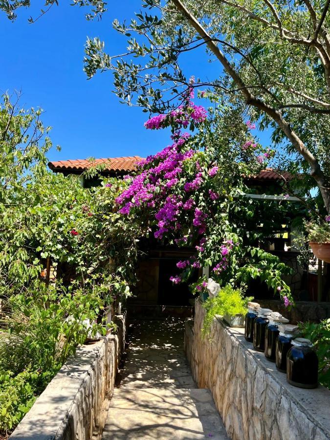 Gorana Apartman With Swimming Pool Jelsa (Hvar) Exterior foto