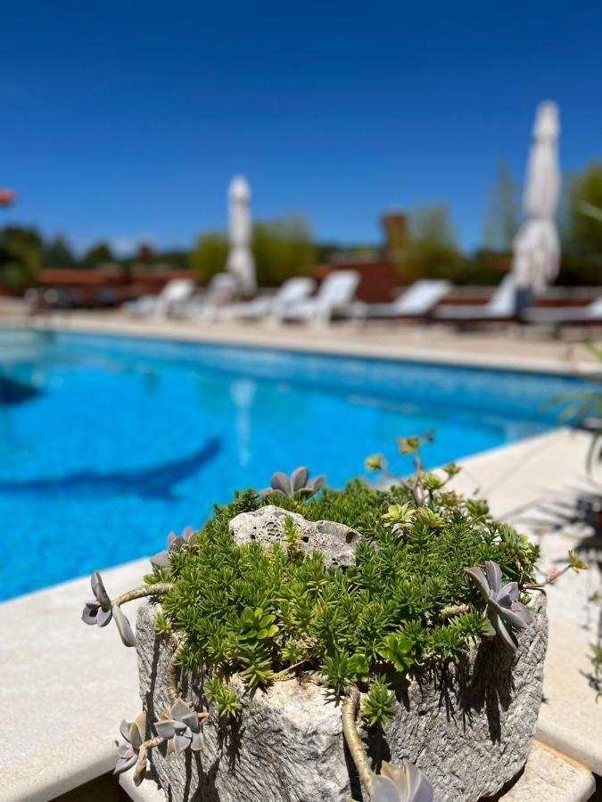 Gorana Apartman With Swimming Pool Jelsa (Hvar) Exterior foto